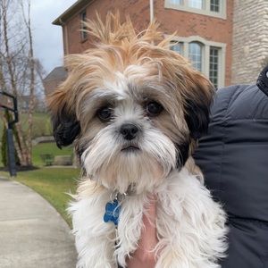 Meet your Posher, Maggie